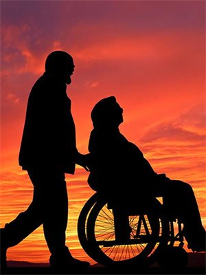 陸菲菲最新章節